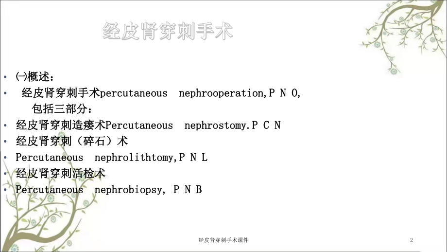 经皮肾穿刺手术课件.ppt_第2页