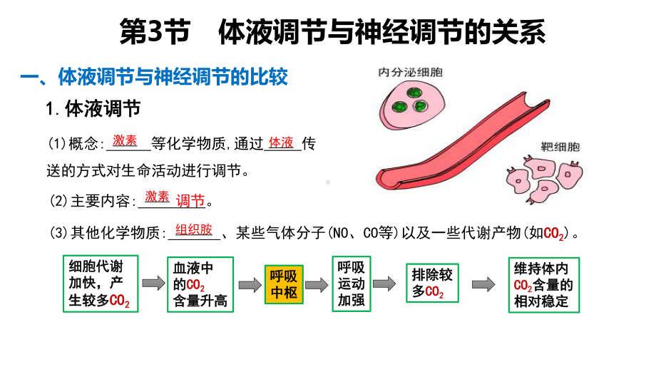 (新教材)体液调节与神经调节的关系教学课件人教版1.pptx_第3页