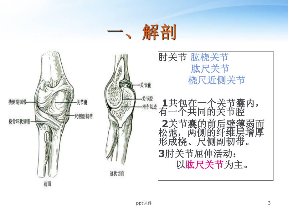 肘关节脱位-课件.ppt_第3页