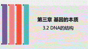 (新教材)DNA的结构课件人教版1.pptx