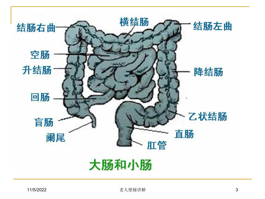 老人便秘讲解培训课件.ppt_第3页