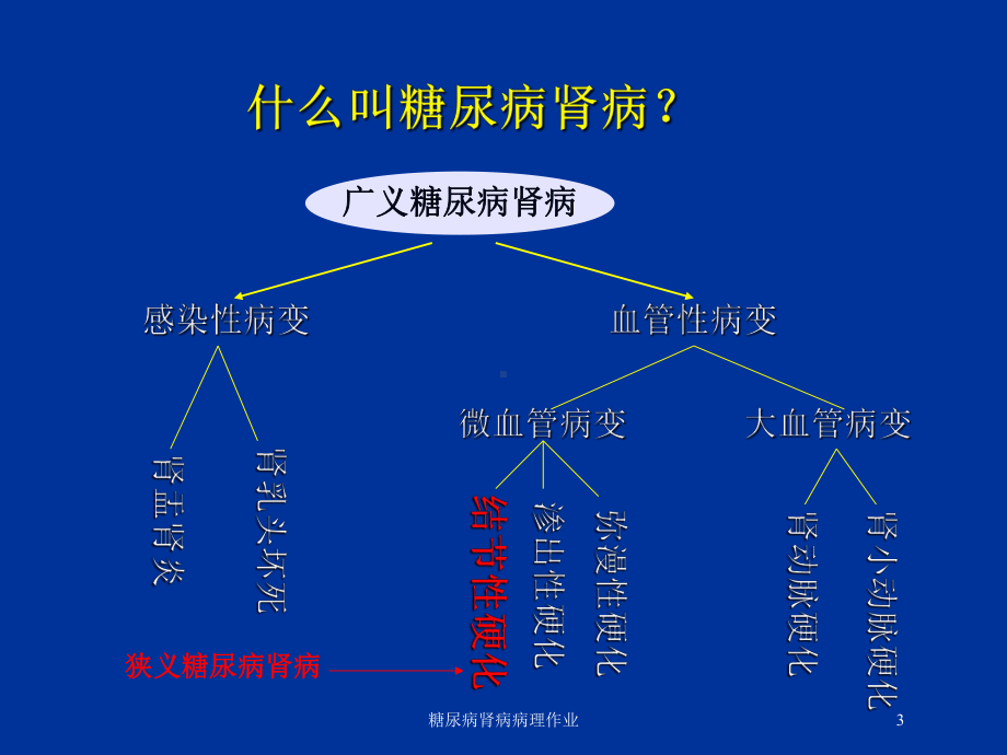 糖尿病肾病病理作业培训课件.ppt_第3页