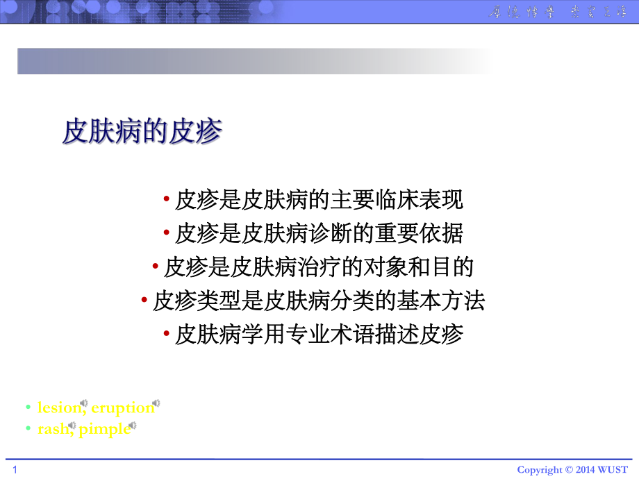 皮肤病的皮疹课件.ppt_第1页