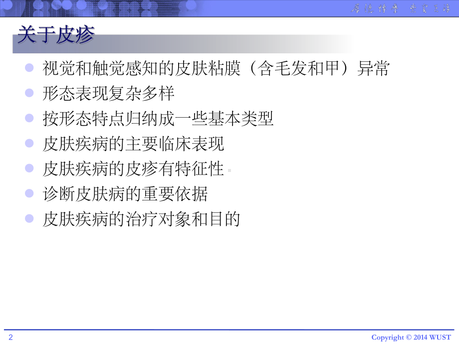 皮肤病的皮疹课件.ppt_第2页
