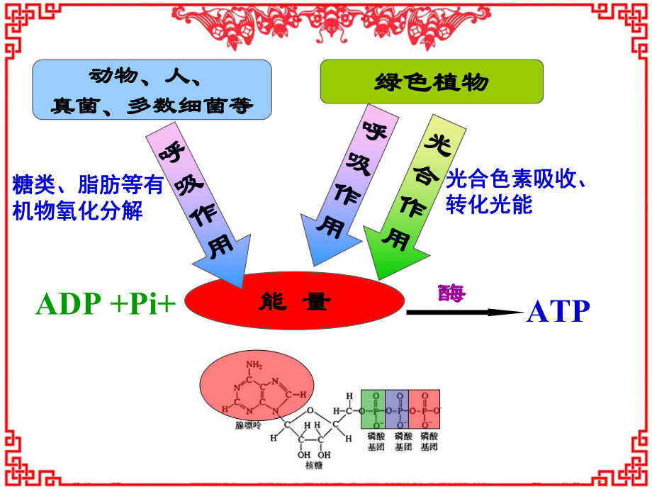 ATP的主要来源细胞呼吸解析课件.ppt_第2页