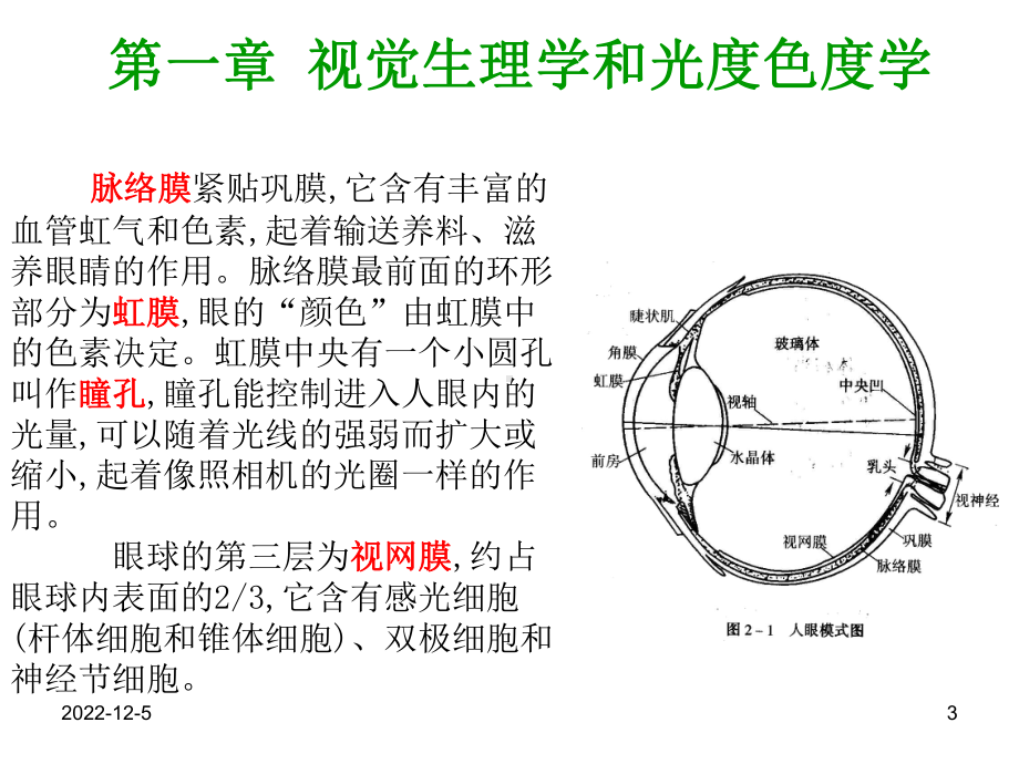 Chapter1-视觉生理学和色度学解析课件.ppt_第3页