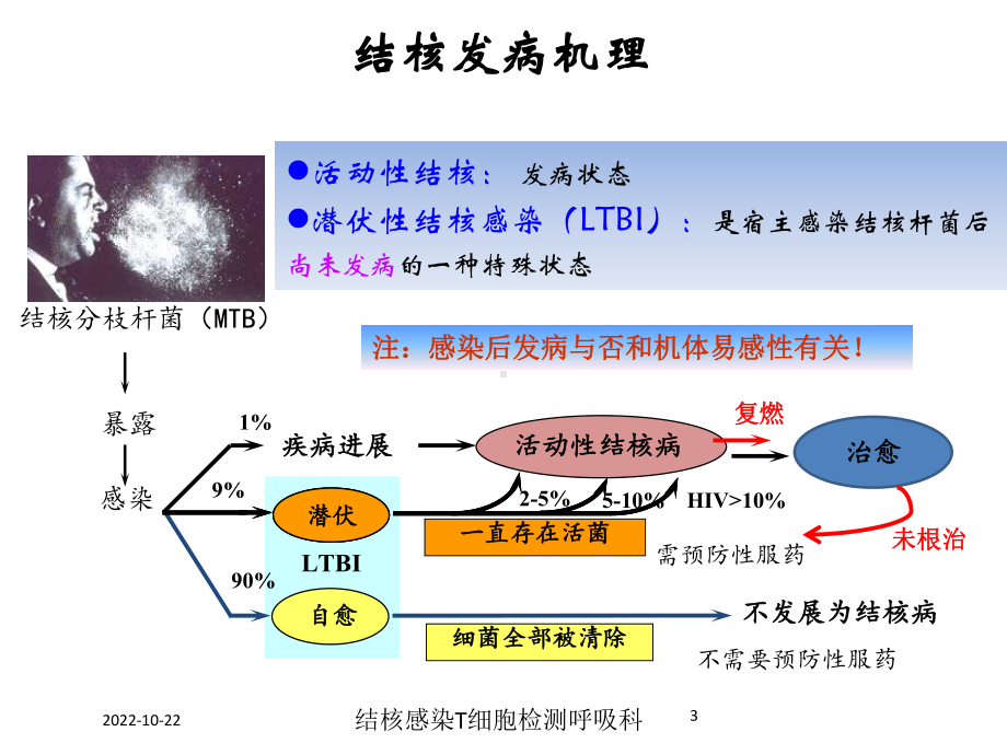 结核感染T细胞检测呼吸科培训课件.ppt_第3页