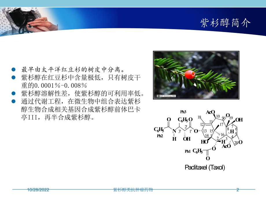 紫杉醇类抗肿瘤药物培训课件.ppt_第2页