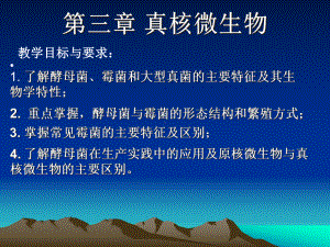 真核微生物医学知识课件.ppt