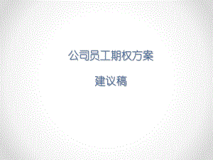 XXX公司员工期权方案.ppt