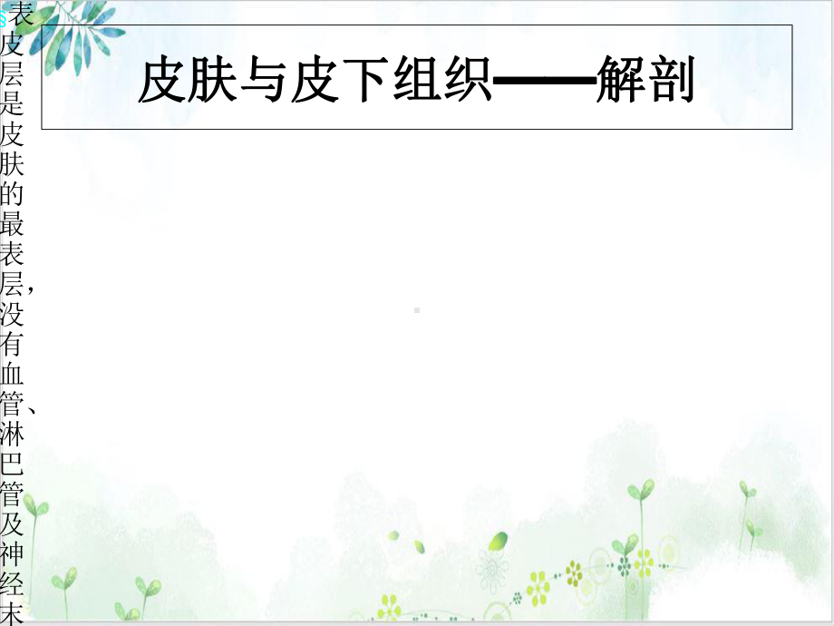 皮肤软组织肿块超声诊断[1]培训课程课件.ppt_第2页