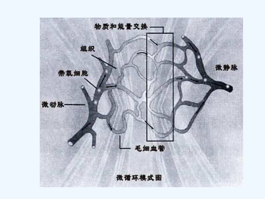 糖尿病微血管并发症早知道课件.ppt_第3页