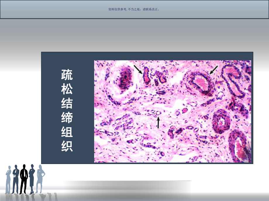 结缔组织医学宣教课件.ppt_第3页