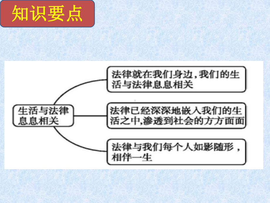 (新教材)部编版法律在我们身边完美课件1.pptx_第2页