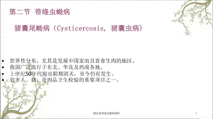 绦虫病带绦虫蚴病课件.ppt