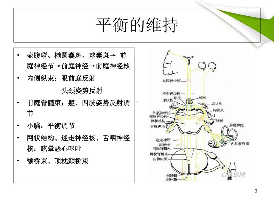 眩晕疾病简述医学课件.ppt_第3页