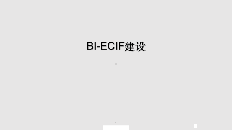 BIECIF解决方案交流初稿课件.pptx_第1页