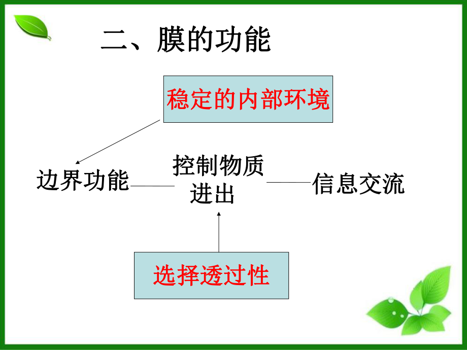 细胞膜与细胞核课件-人教课标版.ppt_第3页