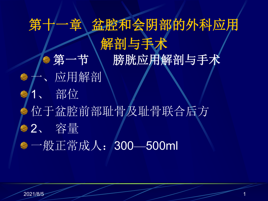 盆腔和会阴部外科应用课件.ppt_第1页