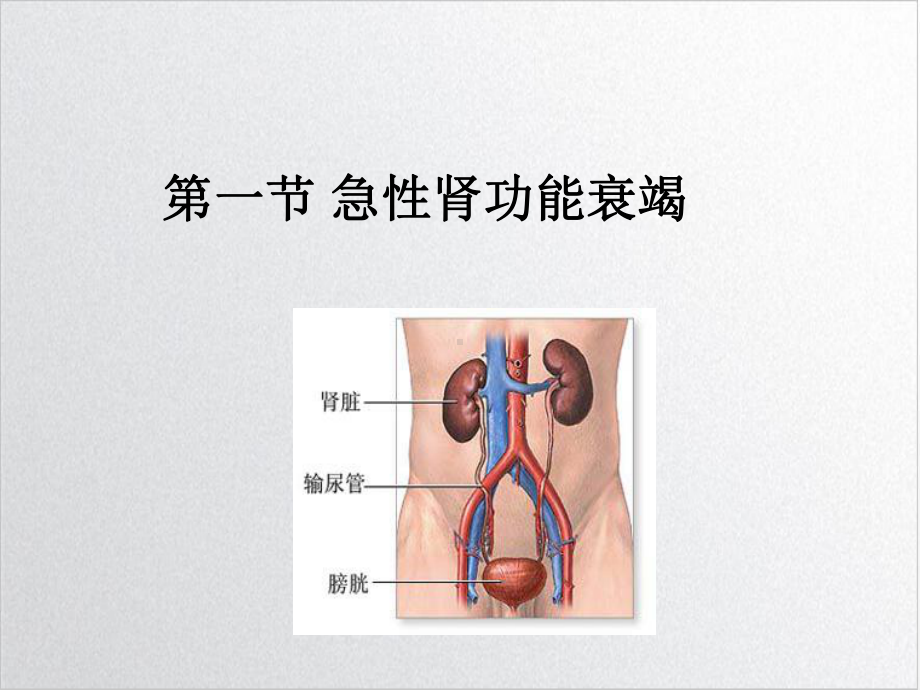 病生第十三讲肾功能不全精选课件.ppt_第3页