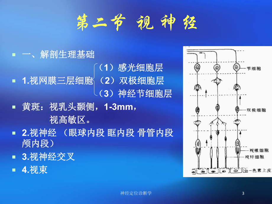 神经定位诊断学培训课件.ppt_第3页