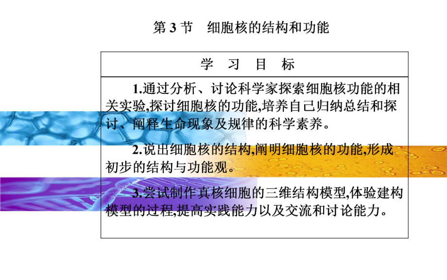 (新教材)细胞核的结构和功能完整版人教版课件1.ppt_第2页