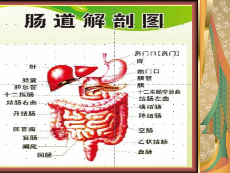 结肠镜检查前肠道准备和术后指导课件.ppt_第2页