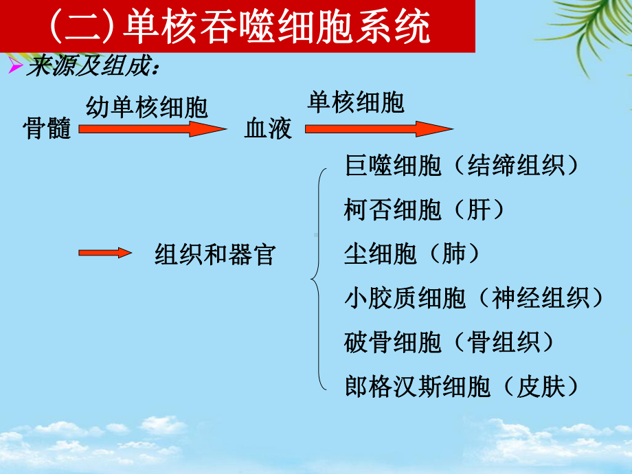 组织学与胚胎学-免疫系统全面课件.pptx_第3页