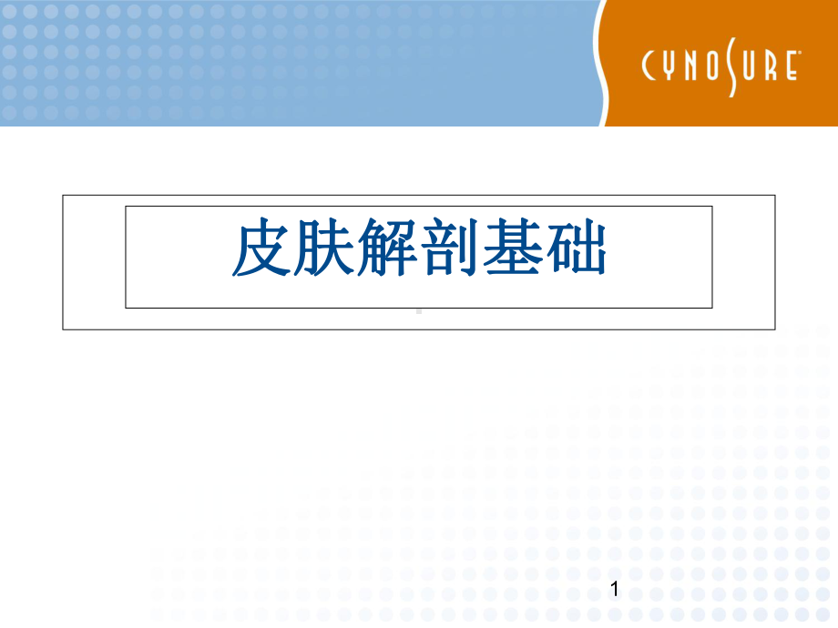 皮肤组织解剖学医学课件.ppt_第1页