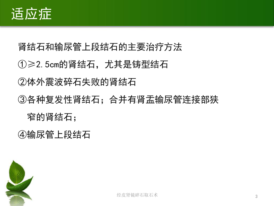 经皮肾镜碎石取石术培训课件.ppt_第3页