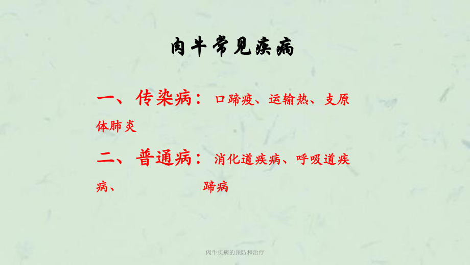 肉牛疾病的预防和治疗课件.ppt_第2页