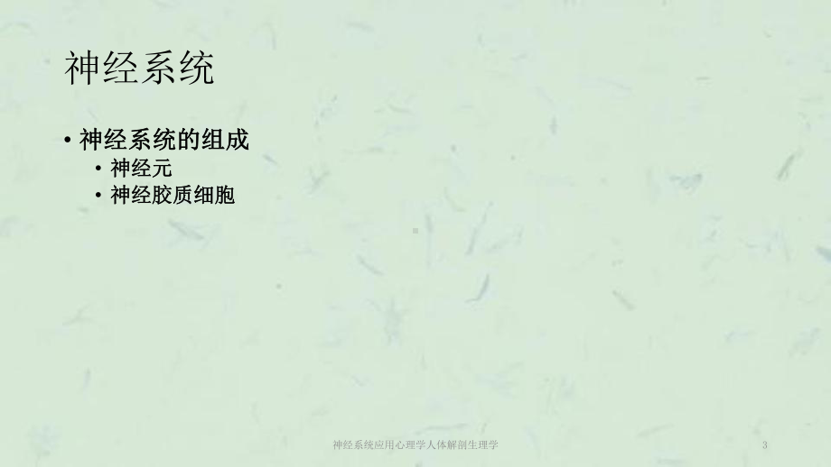 神经系统应用心理学人体解剖生理学课件.ppt_第3页