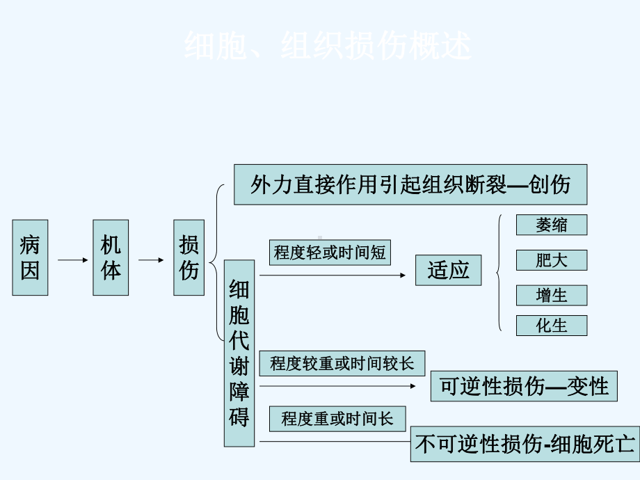 组织细胞损伤变性课件.ppt_第2页