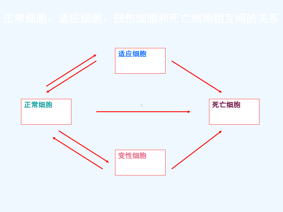 组织细胞损伤变性课件.ppt_第3页