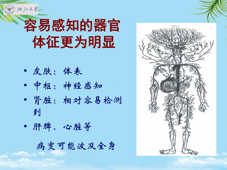 系统性血管炎的诊治思路最全课件.ppt_第3页