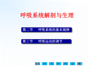-呼吸系统解剖与生理课件.ppt