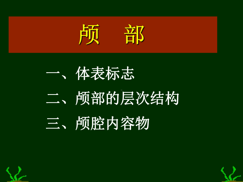 《头部局解》课件.ppt_第3页