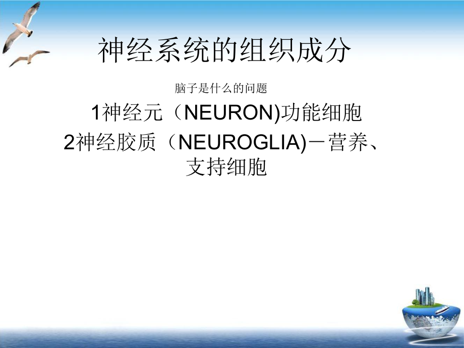 神经系统组成示范课件.ppt_第3页