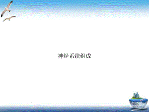 神经系统组成示范课件.ppt