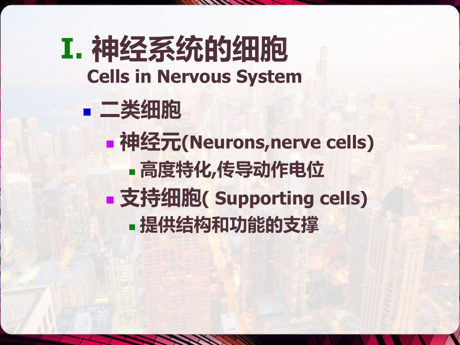 神经系统及其生理第一部-课件.pptx_第3页