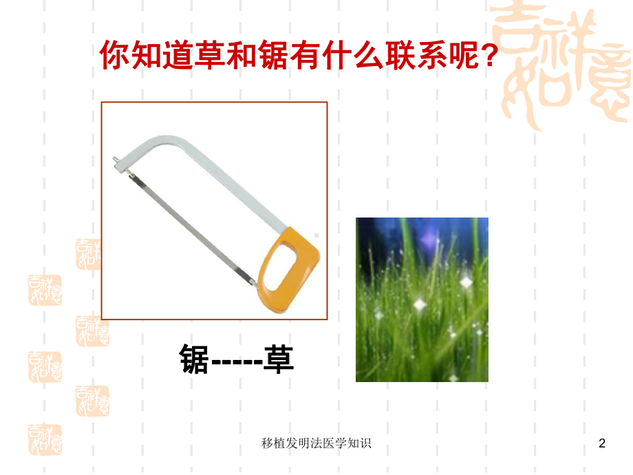 移植发明法医学知识培训课件.ppt_第2页