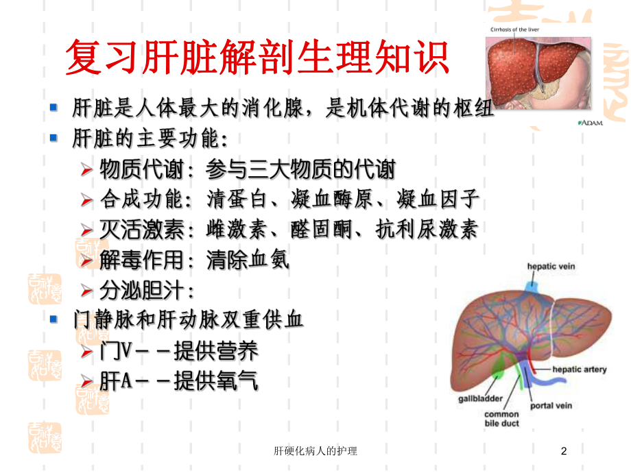 肝硬化病人的护理培训课件.ppt_第2页