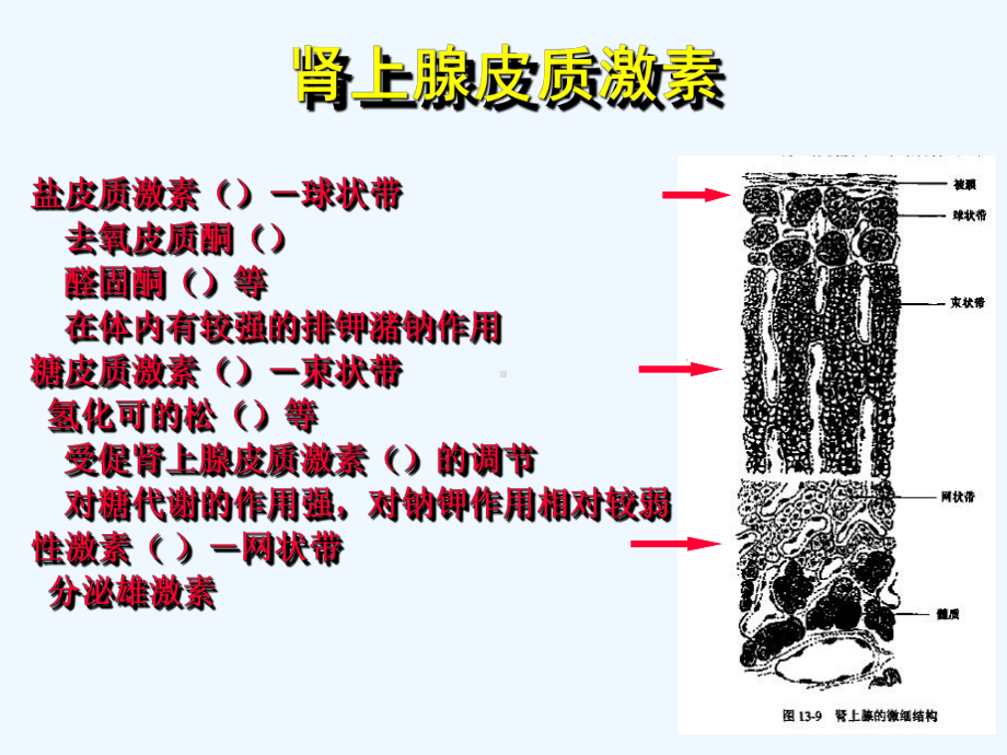 糖皮质激素在肾病中的应用课件.ppt_第3页