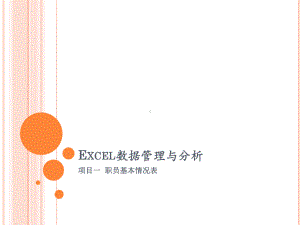 Excel数据管理与分析项目一职员基本情况表课件.ppt