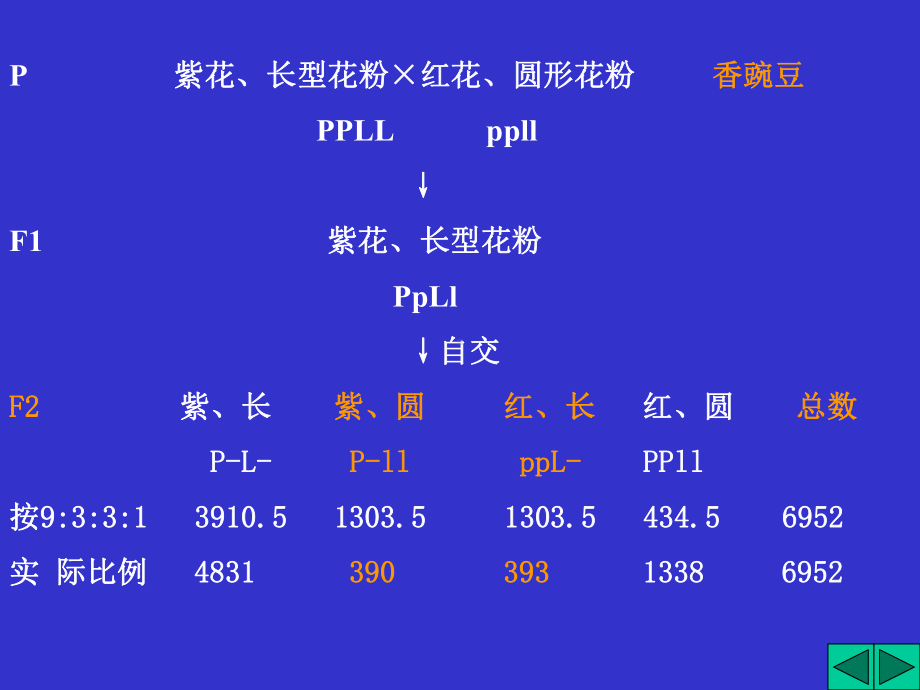 3章-连锁遗传规律课件.ppt_第3页