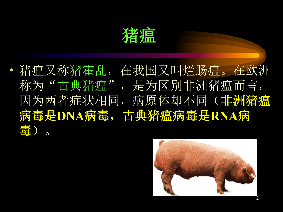 第六章-猪疫病的检验检疫-宠物疾病学课件.ppt_第2页