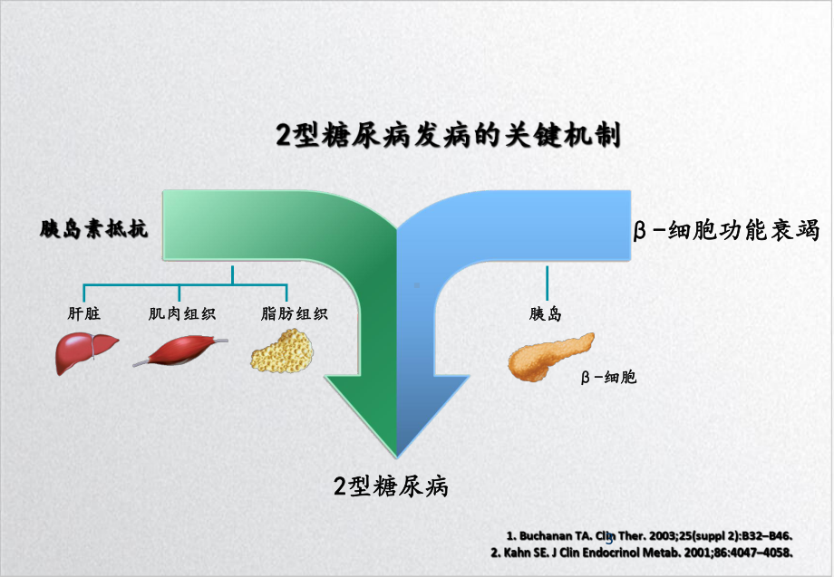 糖尿病急性并发症防治课件1.ppt_第3页