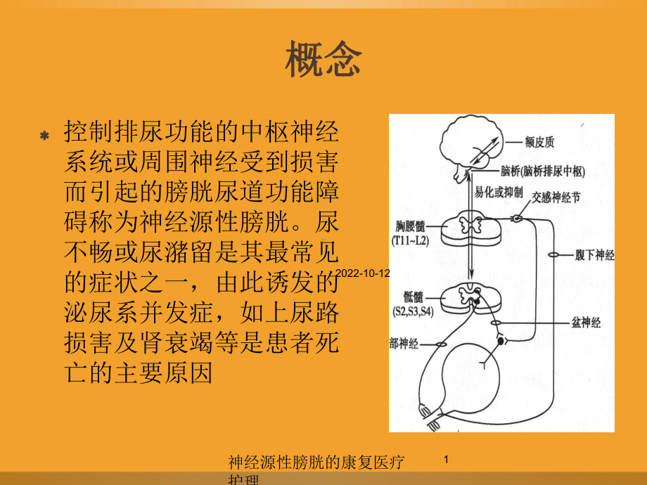 神经源性膀胱的康复医疗护理培训课件.ppt_第1页