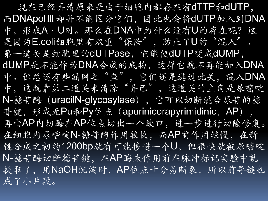 DNA的半不连续复制课件.ppt_第3页