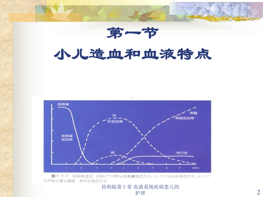 第十章-血液系统疾病患儿的护理课件.ppt_第2页